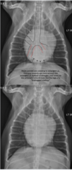 <p>for reference on cowboy sign</p>