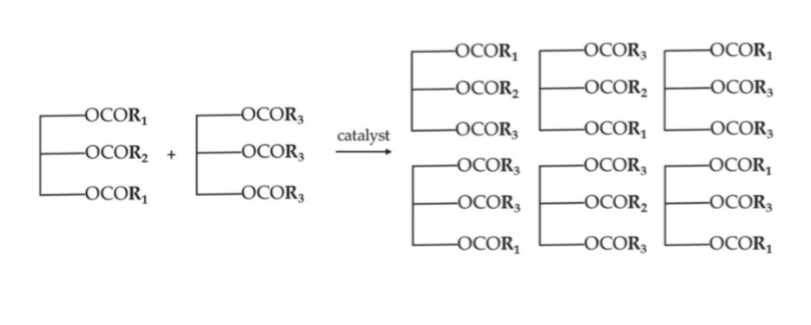 <ul><li><p>rearranges fatty acids on the glycerol moiety to create new TAGs</p></li><li><p>traditional chemical process produces a random distribution of fatty acids</p></li><li><p>enzymic process can be more controlled</p></li><li><p>associated with palm oil, palm kernel oil and other solid fats</p></li><li><p>does not affect fatty acid composition so cannot produce trans fatty acids</p></li></ul><p></p>