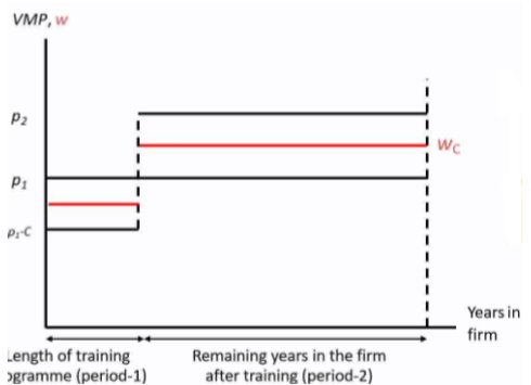 <p><span style="background-color: transparent;">Becker (1962) - specific training occurs only if costs and returns to investments are shared between the firm and the worker</span></p><p><span style="background-color: transparent;">With specific training, neither firms nor workers have an incentive to break the employment contract in the post-training period:</span></p><ul><li><p><span style="background-color: transparent;">Firms are paying workers less than the value of their marginal product</span></p></li><li><p><span style="background-color: transparent;">Workers are earning more than they would at another firm</span></p></li></ul><p></p>