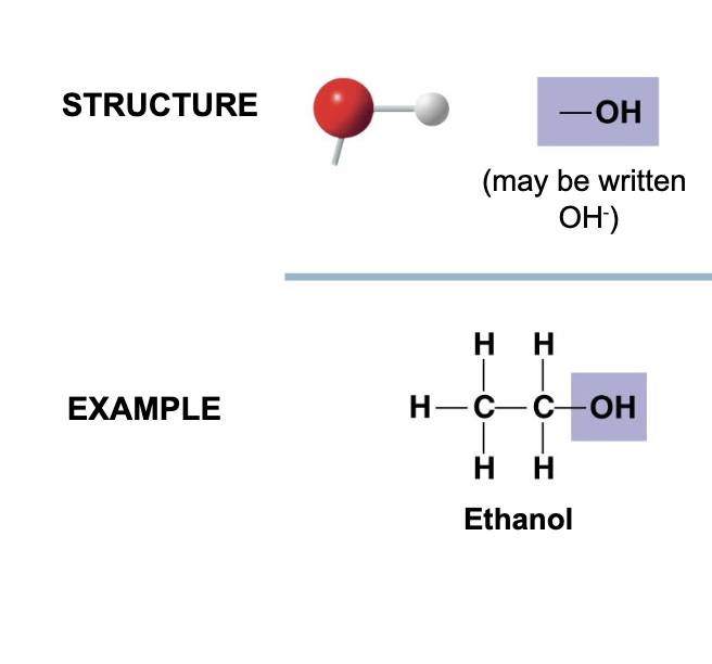 <ul><li><p>alcohols</p></li><li><p>is polar beacuse of the electrons spending more time near the electronegative oxygen (highly electronegative) atom</p></li><li><p>can form hydrogen bonds with water molecules, helping dissolve organic compounds such as sugars</p></li></ul><p></p>