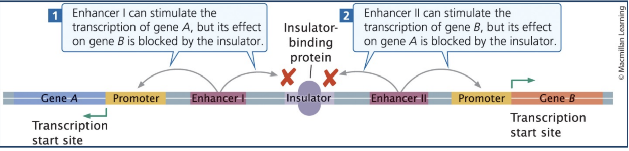 <p><span style="background-color: transparent;"><strong>Insulators</strong></span></p>