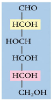 <p>What monosaccharide is this? (Include D or L in your answer)</p>
