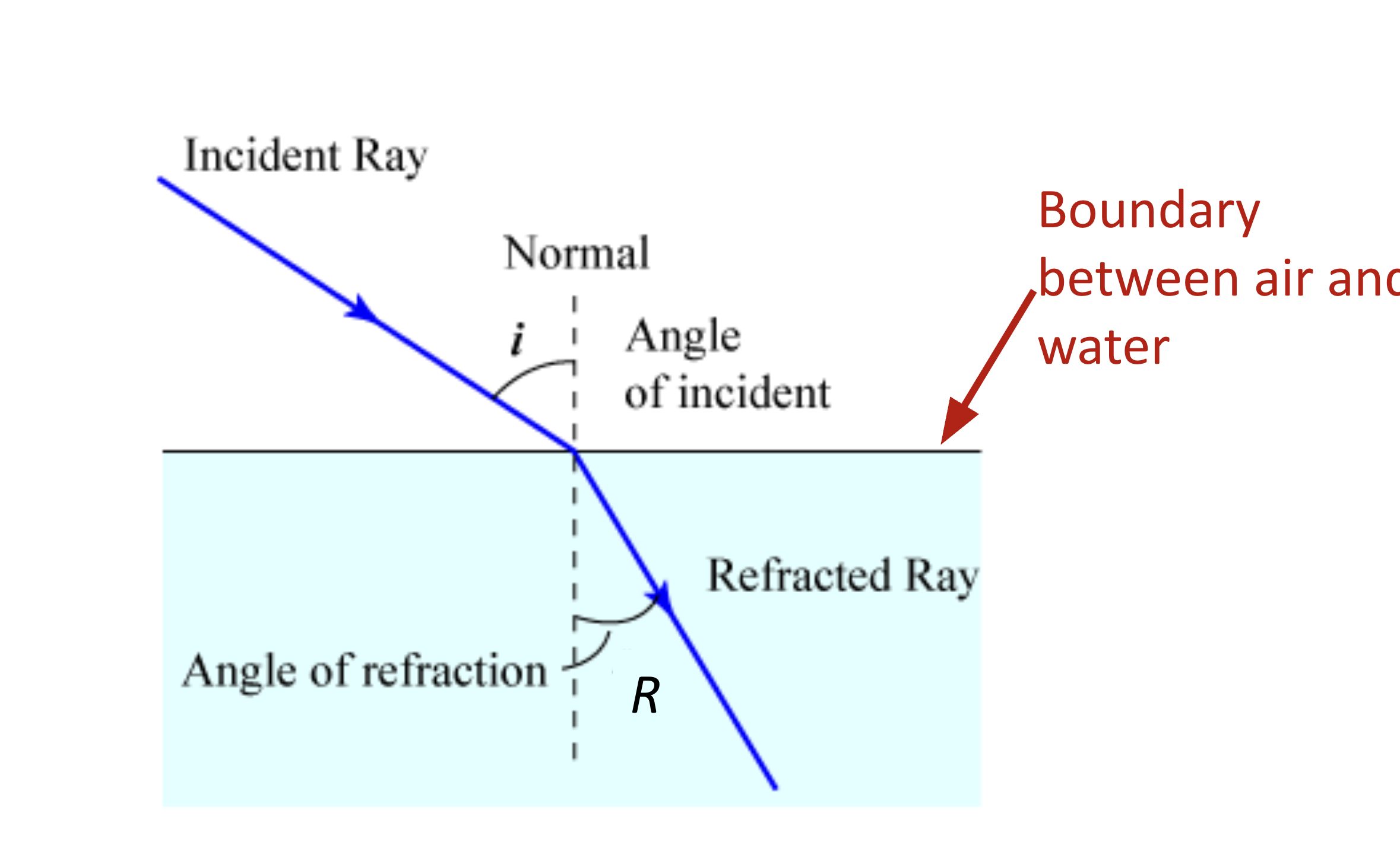 <p><span style="color: rgb(239, 147, 191);">remember to capitalize and differentiate from r, reflection</span></p><ul><li><p>the angle between the refracted ray and the normal</p></li></ul><p></p>