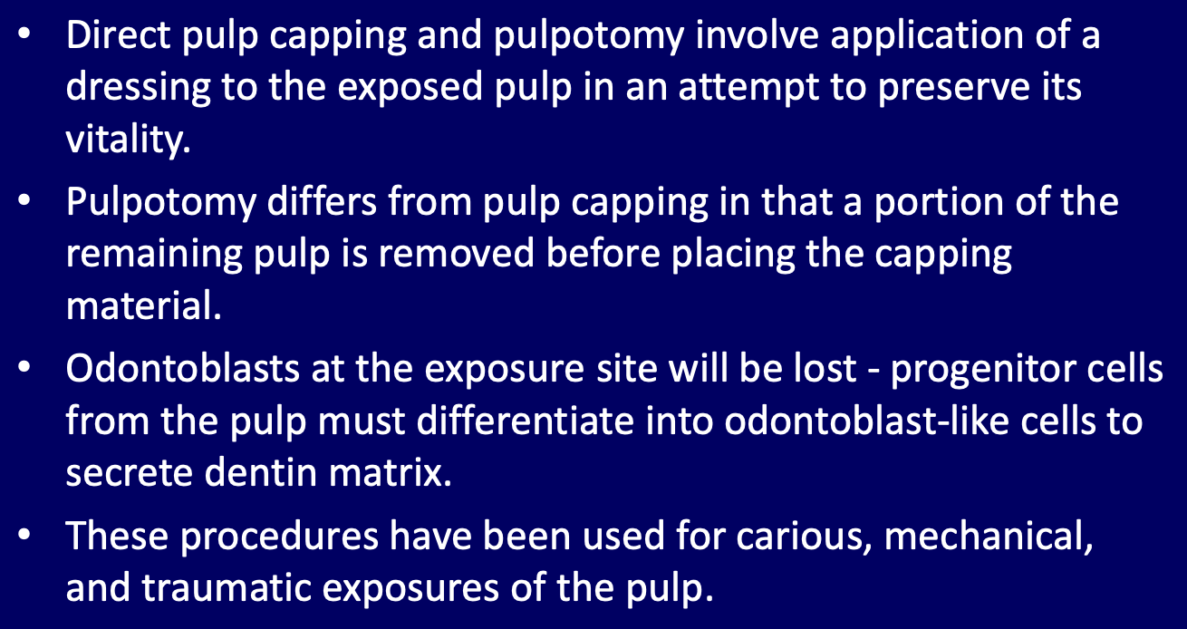 <p>What types of pulp exposures can be treated with direct pulp caps or pulpotomies?</p>
