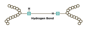 <p>What are hydrogen bonds?</p>