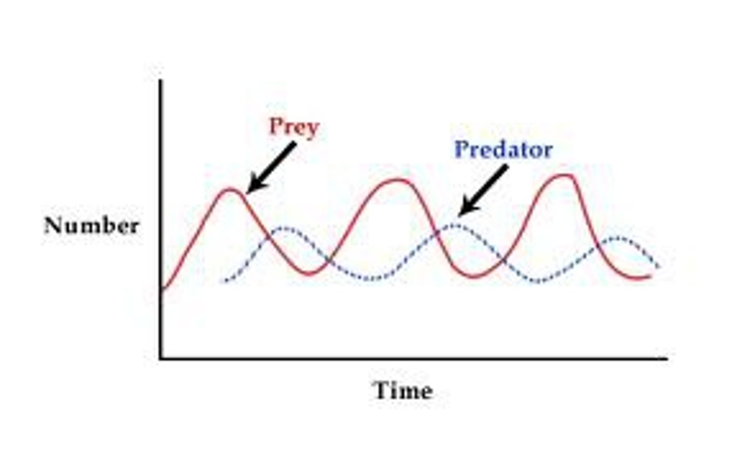 <p>How the size and makeup of a population change over time.</p>