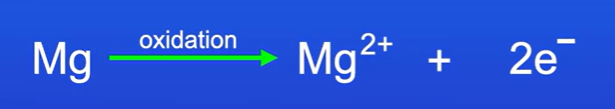 <p>Mg โ Mg2+ + 2e-</p>
