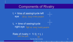 <p>What is the equal for RATE OF RIVALRY?</p>