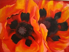 <p>I pinned one onto your lapel</p><p>Spasm of red</p>