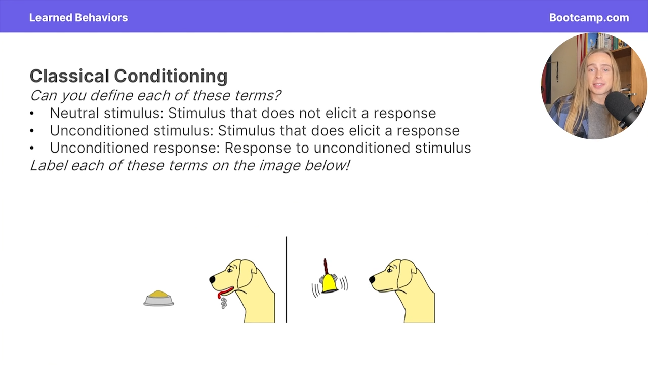 <p>Response to unconditioned stimulus</p>