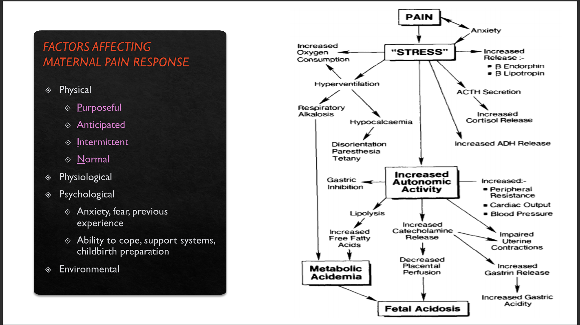 <p>FACTORS AFFECTING MATERNAL PAIN RESPONSE</p>