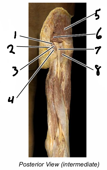 <p>6</p>