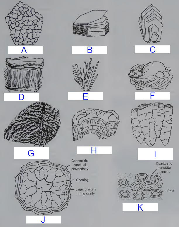 <p>What mineral habit is letter H?</p>