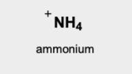 <p>ammonium</p>