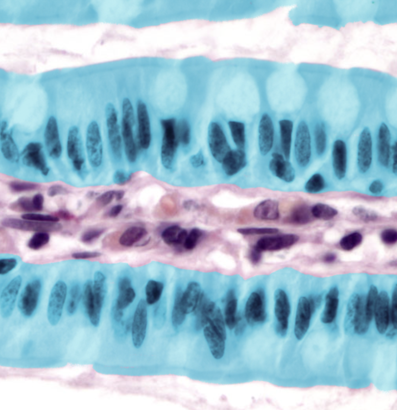 <p>What is highlighted</p>
