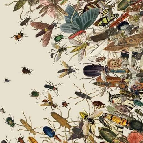 <p>Crustaceans(Cephalothorax), Insects(Head+ Thorax), Chelicerates (Cephalothorax), Myriapods</p><p>jointed limbs= appendages</p><p>hard outer shell (chitin)= exoskeleton</p><p></p><p>bilateral; triplo;protosome;coelomate</p><p></p>