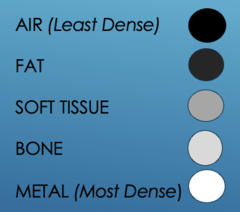 <p>AIR (Least Dense, black)</p><p>FAT</p><p>SOFT TISSUE</p><p>BONE</p><p>METAL (Most Dense, White)</p>