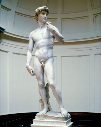 <p>Michelangelo, marble, 1501-04</p><p>-contrapposto</p><p>-Muscles, veins, and bone structure are highly detailed</p><p>-Unlike earlier versions of David: Michelangelo shows him before the battle, not after</p><p></p>