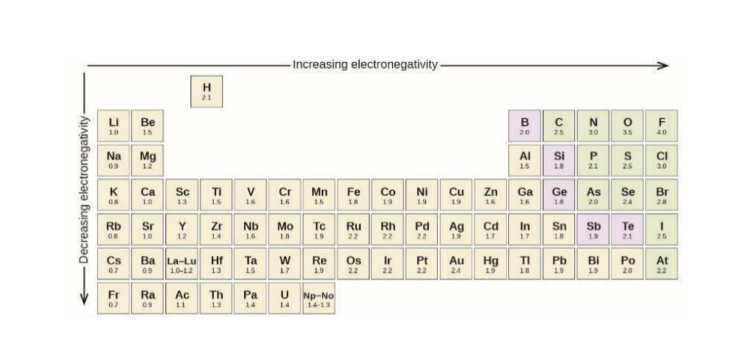 <p>Decreases because there are more shells added meaning protons have less of a hold on the electrons. </p>
