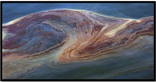 <p><span style="font-size: medium;">The cleanup of toxic oil in the environment is called</span></p><p>a. bioterrorism</p><p>b. nitrogen fixation</p><p>c. bioremediation</p><p>d. excision repair</p>