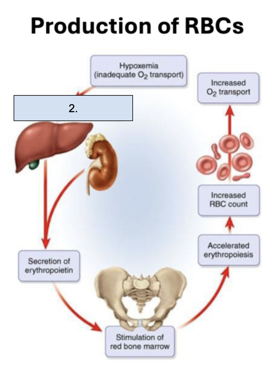 <p>What is happening in this step?</p>