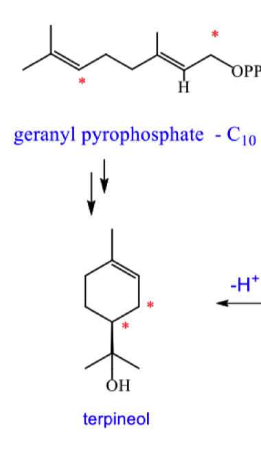 <p>draw the mechanism for the formation of terpineol</p>