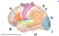 <p>E-ish?</p>