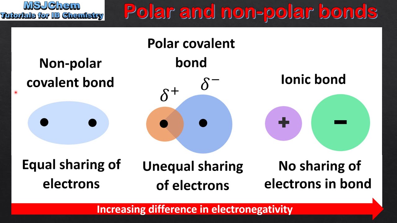 <p>NonPolar Covalent Bonds</p>