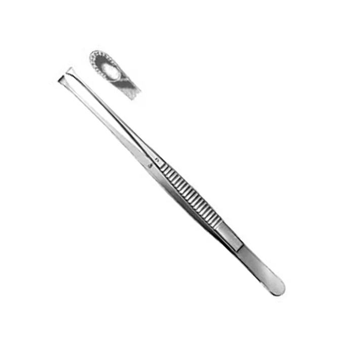 <p>Russian forcep </p>