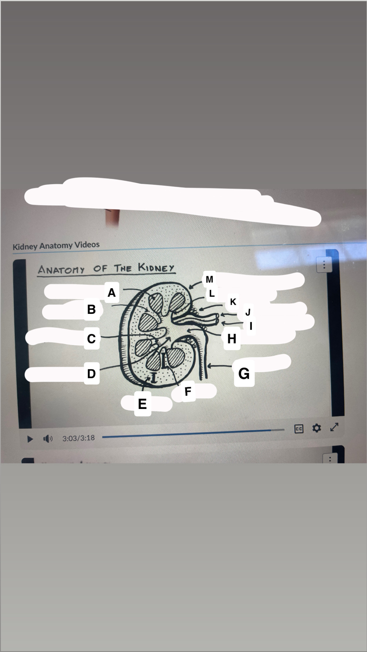 <p>identify letters A, E, F, D, M, H, C, </p>