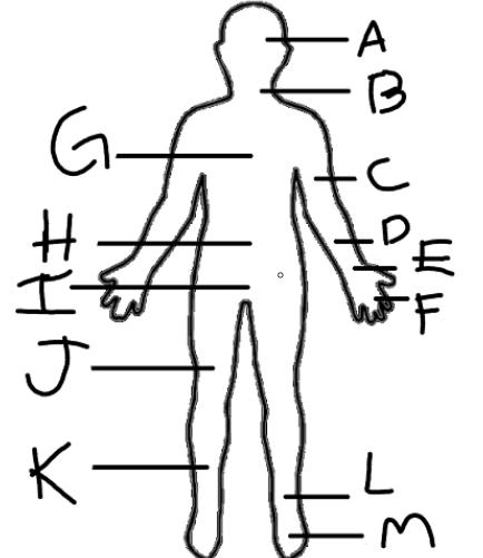<p>Where is F pointing to</p>