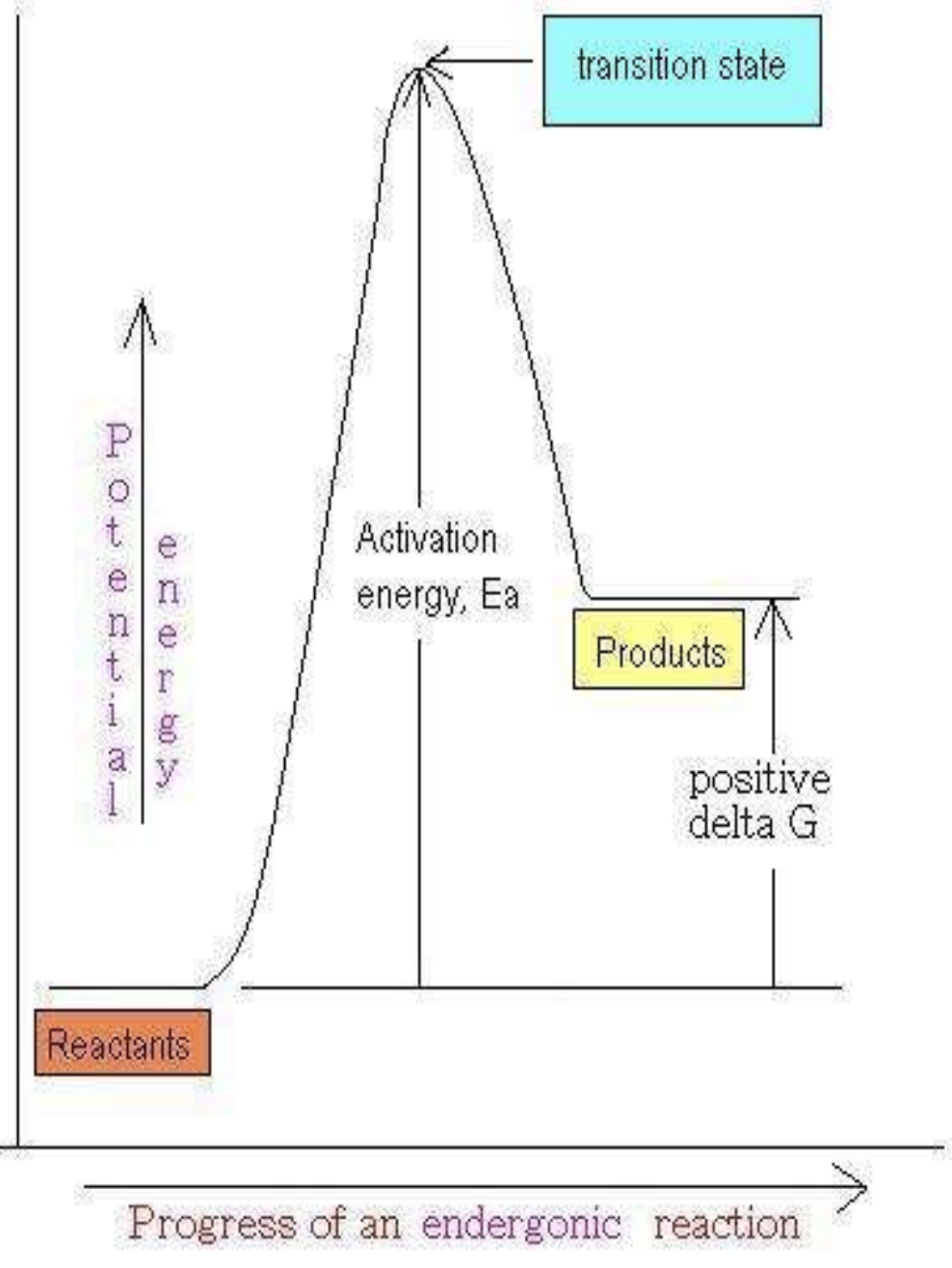 <p>What does positive ΔG mean?</p>