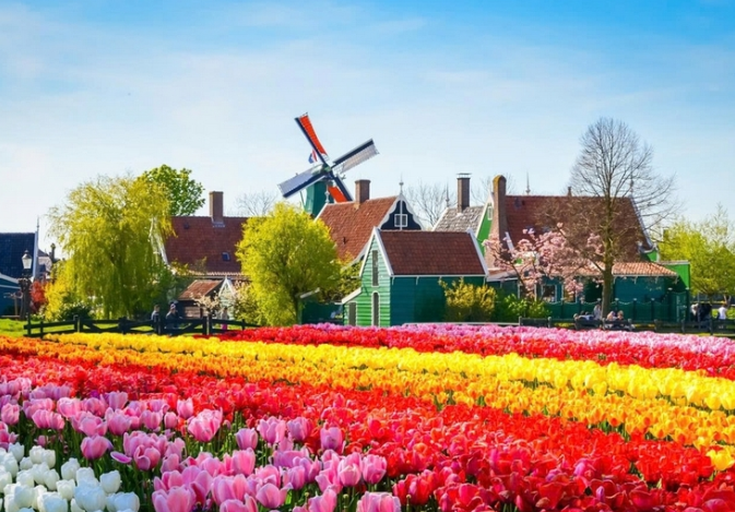 <p>Netherlands</p>