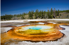 <p>Archaea that survive in extreme temperatures such as hot springs. One of the hot springs of Yellowstone National Park is depicted.</p>