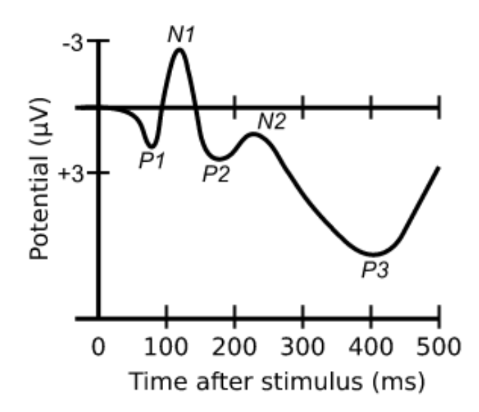 <ul><li><p><span>Captures how active the brain is during a discrete event</span></p></li><li><p>P = pos, N = n</p></li></ul><p></p>