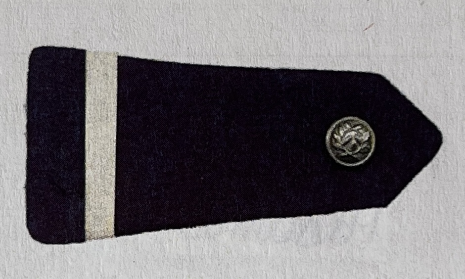 <p> </p>