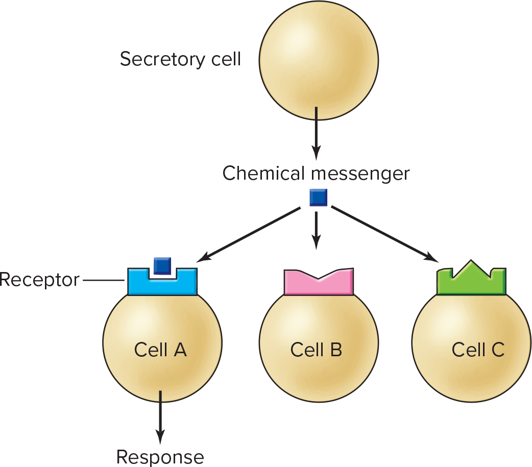 <p><span>Selectivity; ability of binding site to react with only one, or a limited number of, types of molecules</span></p>
