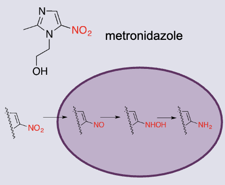 <ul><li><p>Synthetic antibacterial agents (originally antiprotozoal for parasites)</p></li><li><p>causes direct damage to DNA</p></li><li><p>Nitro group essential for activity, can’t modify</p></li><li><p>nitro group undergoes reduction steps to form amino group → Form oxygen radical species toxic to DNA</p></li></ul><p></p>