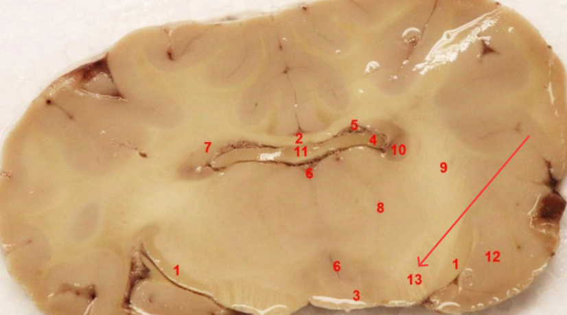 <p>what area is this?</p>