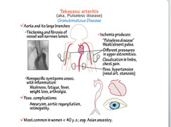 <p>High BP, bruits, ophthalmic artery involvement, pulmonary artery aneurysms</p>