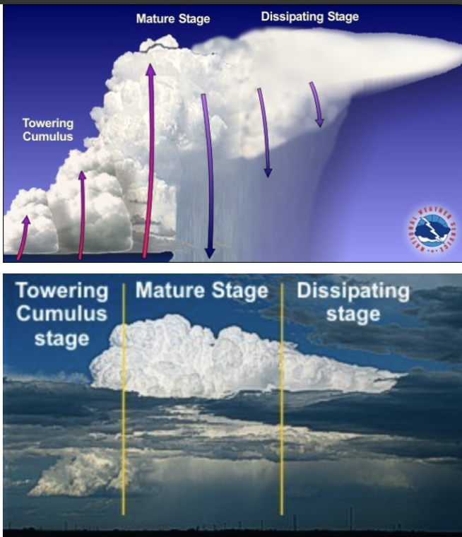 <p>In multi-cell thunderstorms, new cells develop as a result of _____ ______ _____ (outflow boundary)</p>