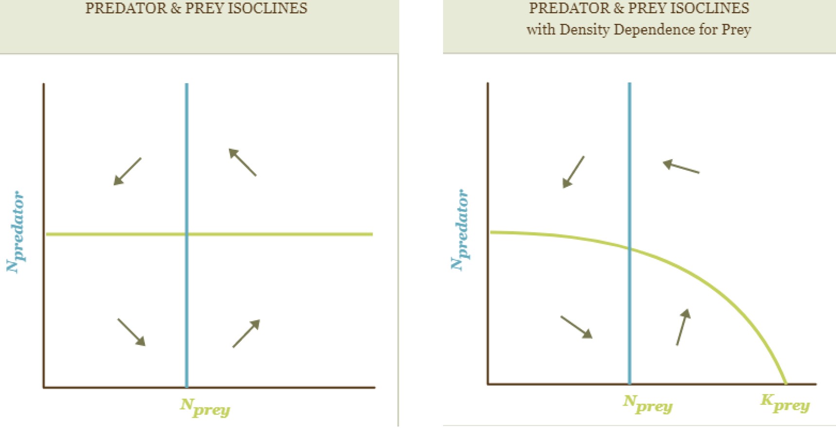 <p>density dependence for combined isocline trajectories</p>
