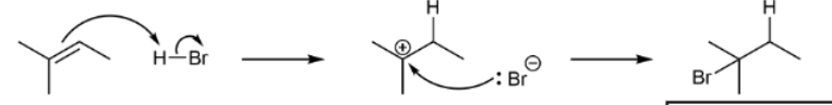 <p>produce Markovnikov as major product and anti-Markovnikov as minor product; all heterolytic cleavages &amp; H bonds first &amp; carbocation intermediates</p>