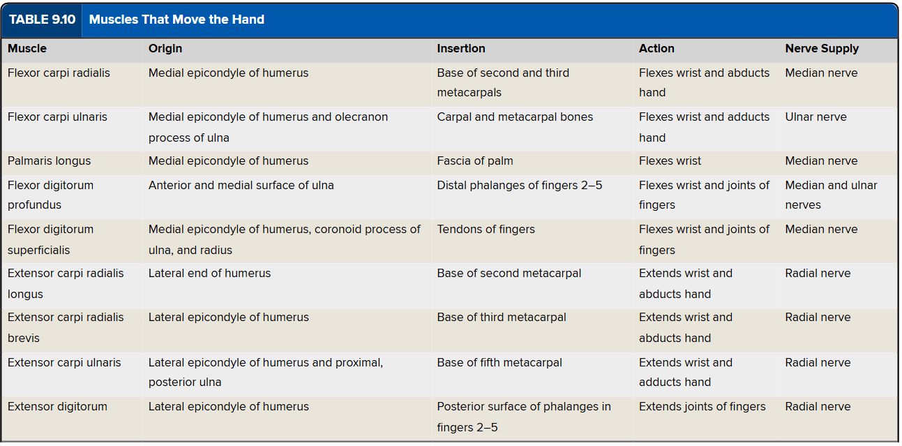 knowt flashcard image
