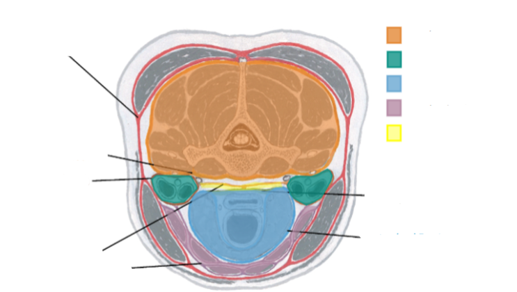 <p>purple&nbsp;&nbsp;&nbsp;</p>