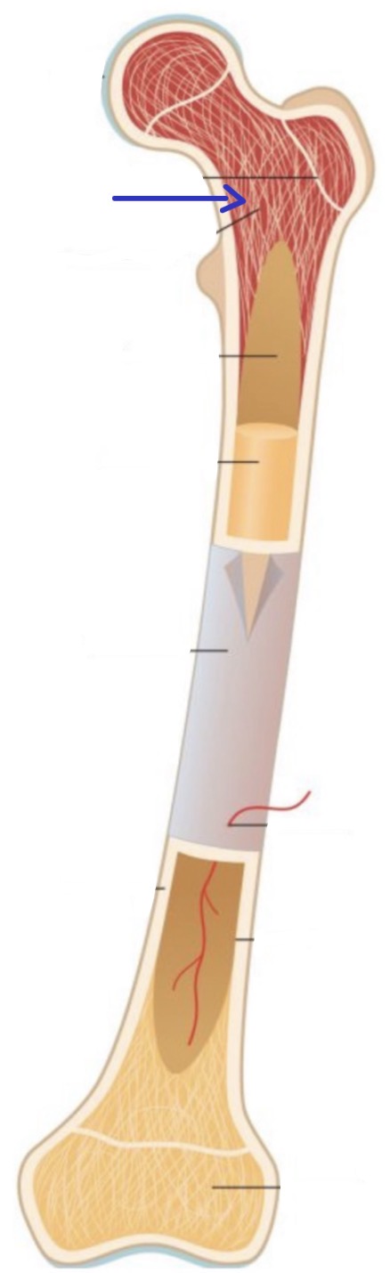 <p><strong>Name the following</strong></p>