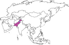 <p>South Asia</p>