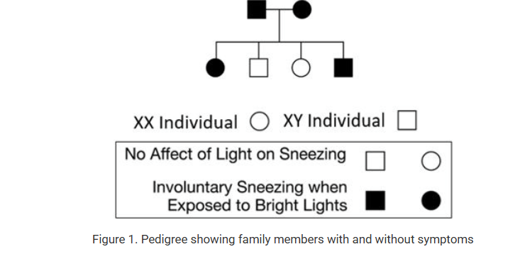 <p>Several members of a family are found to involuntarily sneeze when exposed to bright lights, such as sunlight. Following analysis of the condition in the family, a doctor predicts that the symptoms have an underlying genetic basis. A pedigree of the family is shown in Figure 1.<br>For this condition, which of the following modes of inheritance is most consistent with the observations?</p><p><strong>A) </strong>Autosomal dominant</p><p><strong>B) </strong>Autosomal recessive</p><p><strong>C) </strong>X-linked dominant</p><p><strong>D) </strong>X-linked recessive</p>