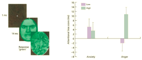 <p>Frustration triggers anger which biases attention toward threat and increases aggression</p>