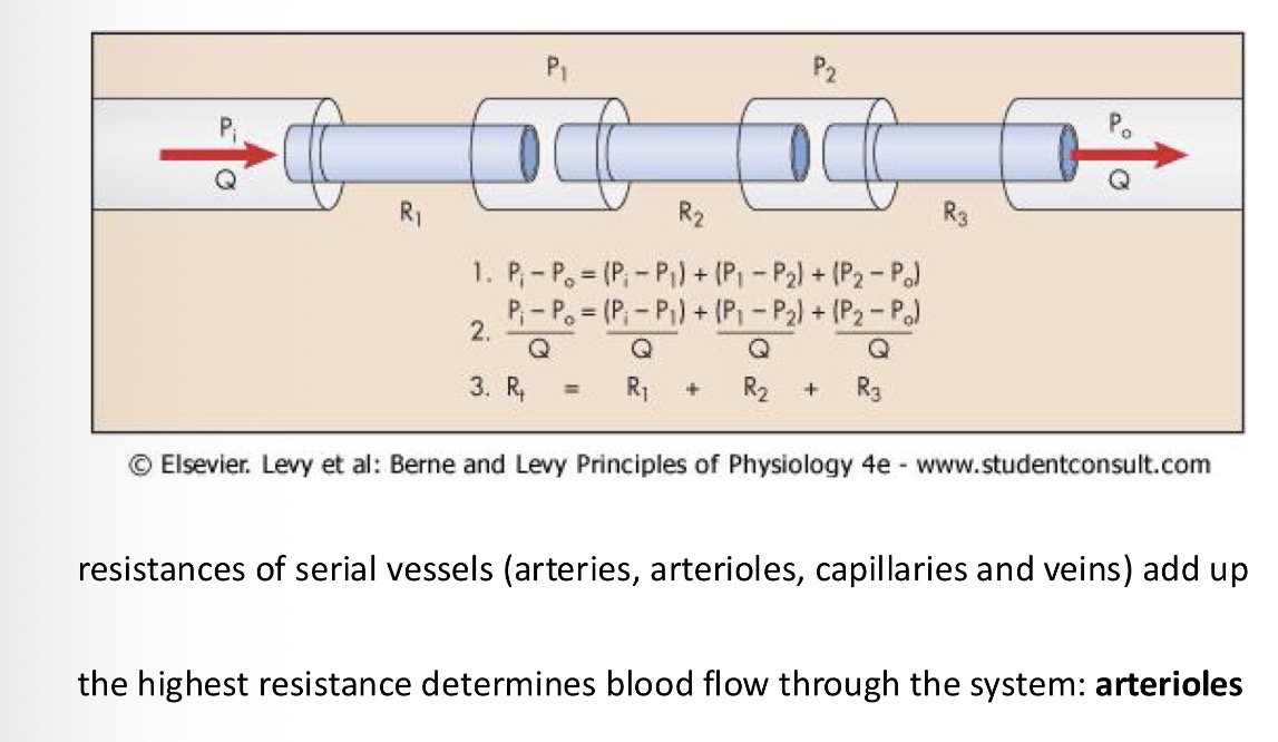 <p>Mean arterial pressure = cardiac output * total peripheral resistance (serial and parallel vessels sum)</p>